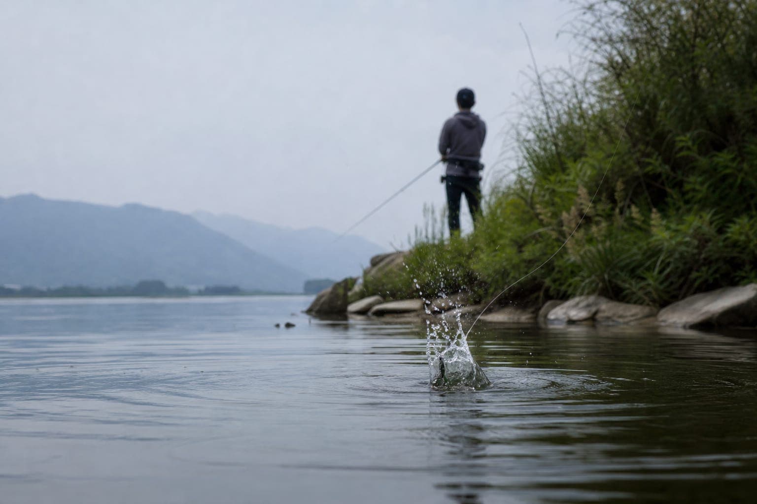 「死んだ小魚」から逆算するバスの居場所
