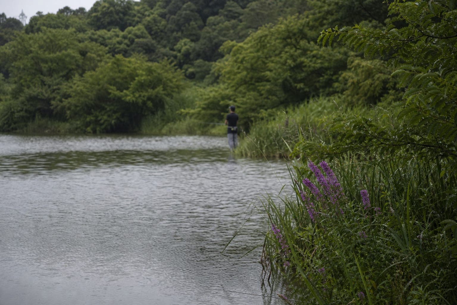 梅雨明け72時間の正解行動プラン